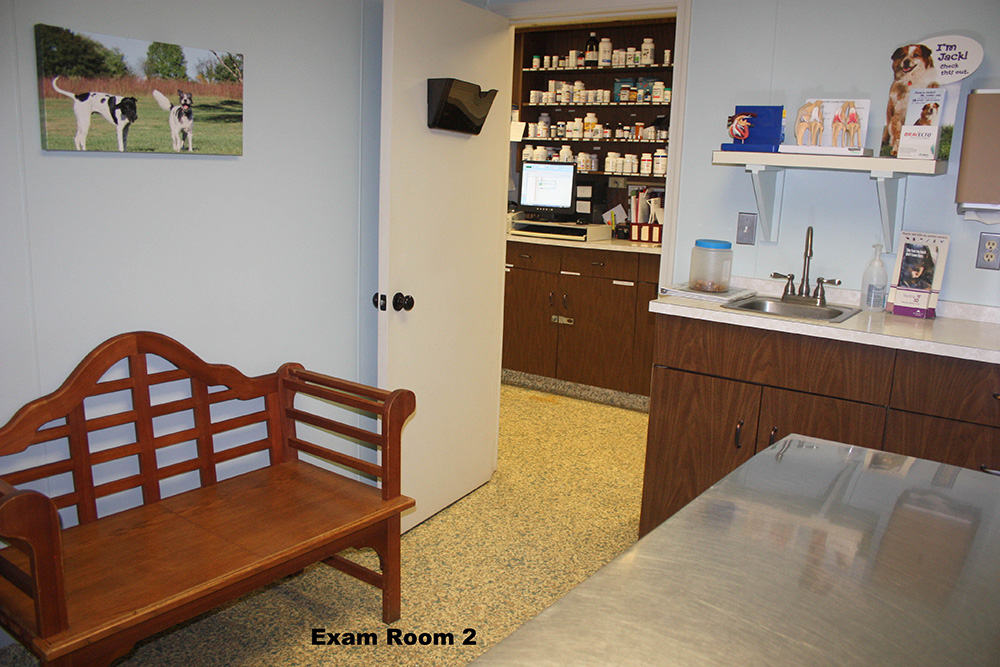 Take a Tour of our Westminster, Maryland Veterinary Hospital