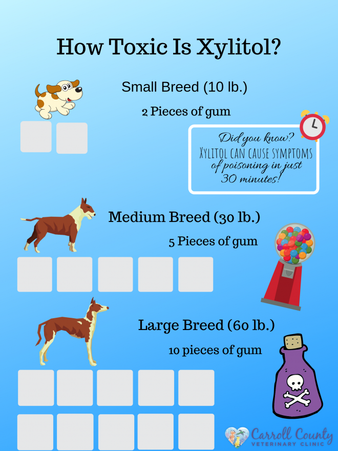 what effect does xylitol have on dogs