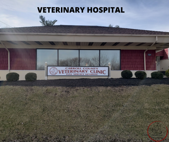 Open in our New Building Veterinarians Westminster, Maryland